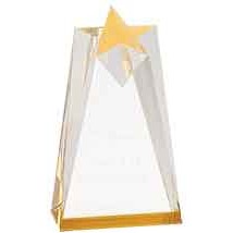 Gold Sculpted Star Acrylic Award (3 1/2" x 6" )