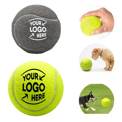 Fetching Tennis Ball Dog Toy