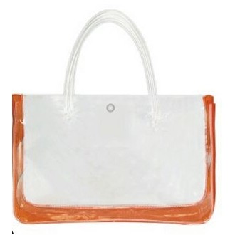 Transparent Carry All Bag