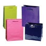 Classic Laminated Euro Paper Tote Bag w/Rope Handles (8"x4"x10")