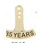 35 Year Stock Die Struck Pin