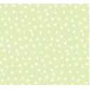 Speckled Celery Double Ream Designer Tissue Paper