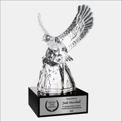 Spirit Eagle Award w/ Black Base & Silver Plate