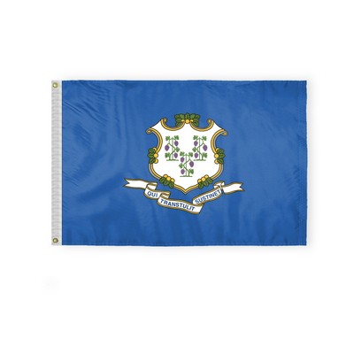 Connecticut Flags 2x3 foot