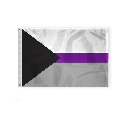 Demisexual Deluxe Flag 2'X3'