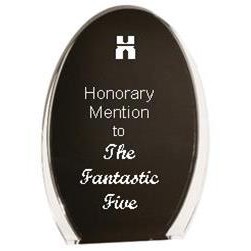 Luminary Oval Acrylic Award Black/Clear - 7" High