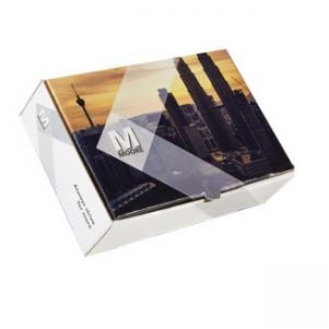 Premium Full Color Custom Printed Shipping Box (9 1/2"x6 1/2"x3")