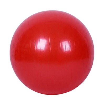 39.3InchYoga Exercise Ball Physio and Physical