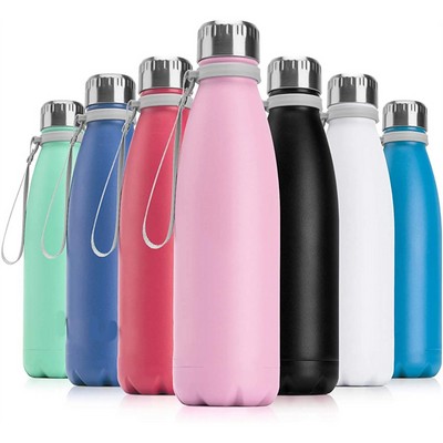 Premium 17oz Stainless Steel Water Bottle