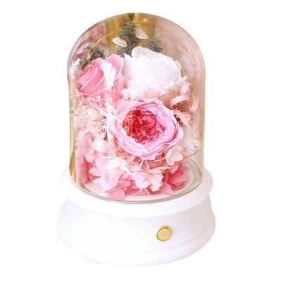 Bluetooth Speaker Music Glass Dome w/LED Lights for Display Preserved Flowers