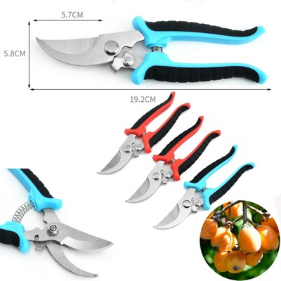 Pruning Fruit Tree Flower Scissors