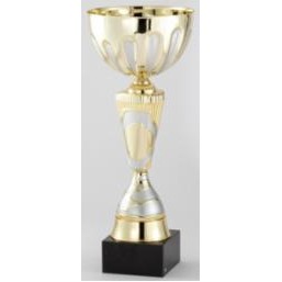 Small Assembled Silver/Gold Cup Trophy