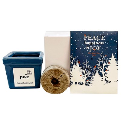 Peace, Happiness & Joy Tree Seed Kit in Ceramic Pot