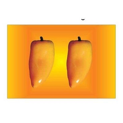 Yellow Chili Pepper Rectangle Badge w/ Bar Pin (2"x3")