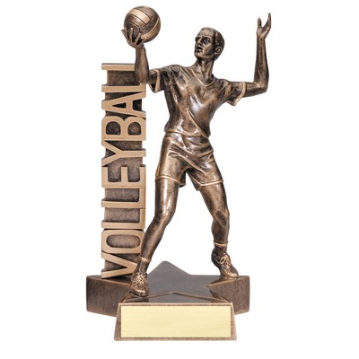 Volleyball, Male Billboard Resin - 6-1/2"