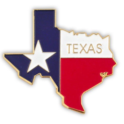 Texas State Pin