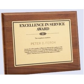 Employee Recognition Award Plaques (6"x8")